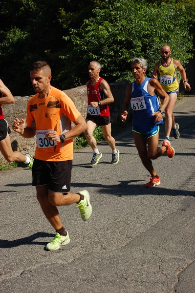 Maratonina di Villa Adriana (31/05/2015) 00049