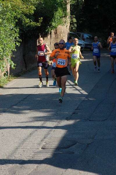 Maratonina di Villa Adriana (31/05/2015) 00050