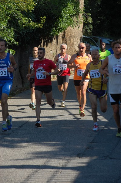 Maratonina di Villa Adriana (31/05/2015) 00068