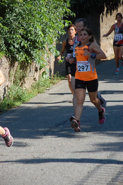 Maratonina di Villa Adriana (31/05/2015) 00099