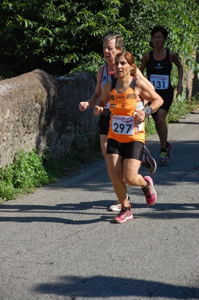 Maratonina di Villa Adriana (31/05/2015) 00101
