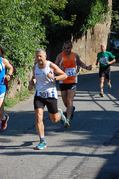 Maratonina di Villa Adriana (31/05/2015) 00103