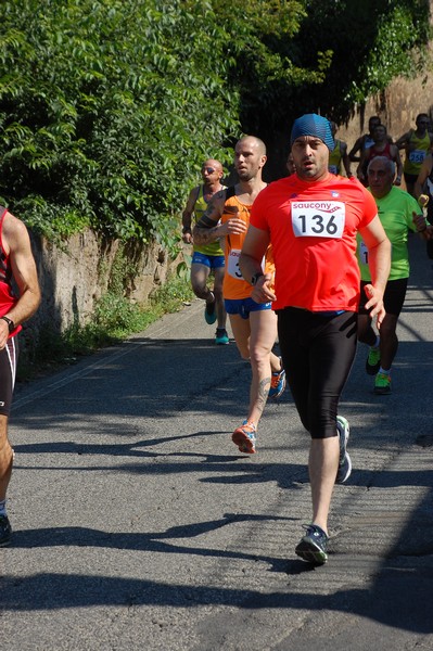 Maratonina di Villa Adriana (31/05/2015) 00118