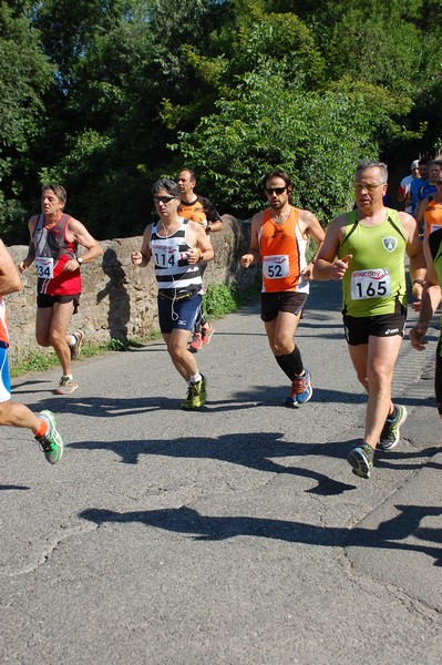 Maratonina di Villa Adriana (31/05/2015) 00161