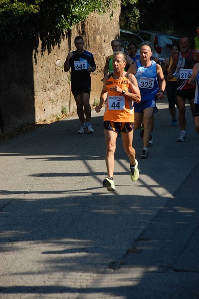 Maratonina di Villa Adriana (31/05/2015) 00193