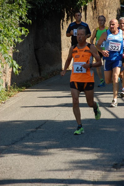 Maratonina di Villa Adriana (31/05/2015) 00195