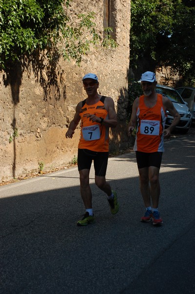Maratonina di Villa Adriana (31/05/2015) 00229