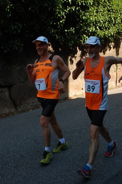 Maratonina di Villa Adriana (31/05/2015) 00233