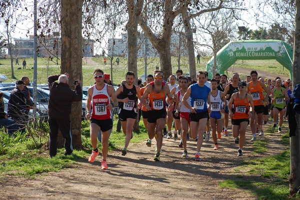 Corri per il Parco Alessandrino (08/03/2015) 00010