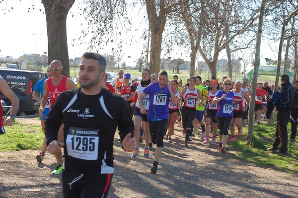 Corri per il Parco Alessandrino (08/03/2015) 00034