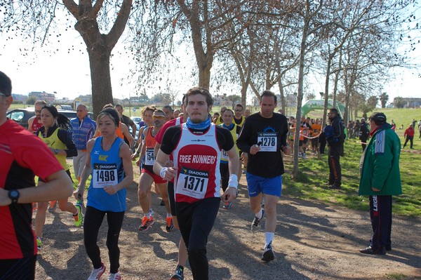 Corri per il Parco Alessandrino (08/03/2015) 00047