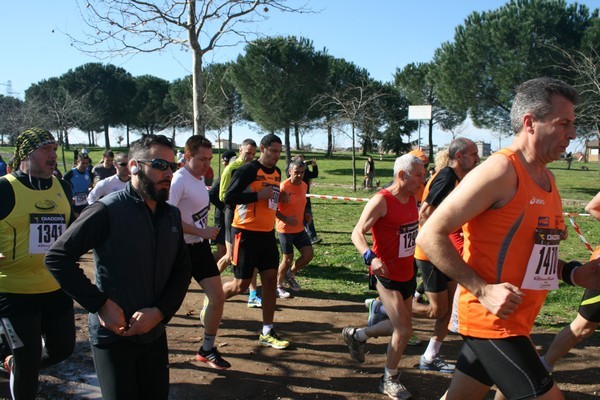 Corri per il Parco Alessandrino (08/03/2015) 037