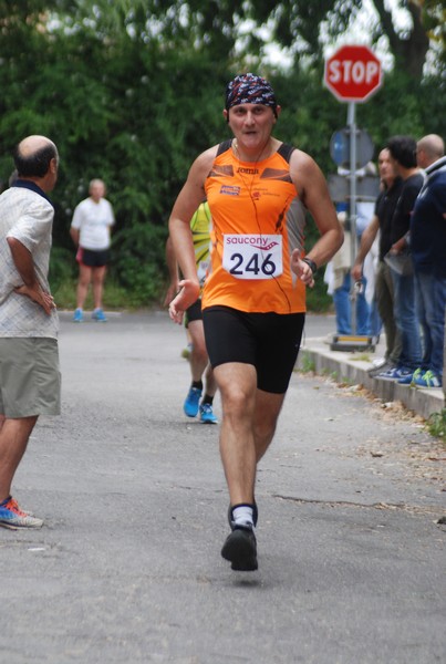 Maratonina di Villa Adriana (CCRun) (29/05/2016) 00007
