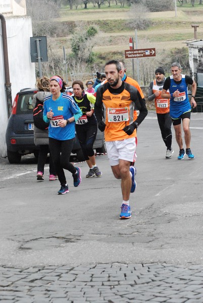 Maratonina dei Tre Comuni (TOP) (22/01/2017) 00020