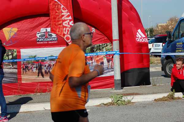 Maratonina Città di Fiumicino (11/11/2018) 00110