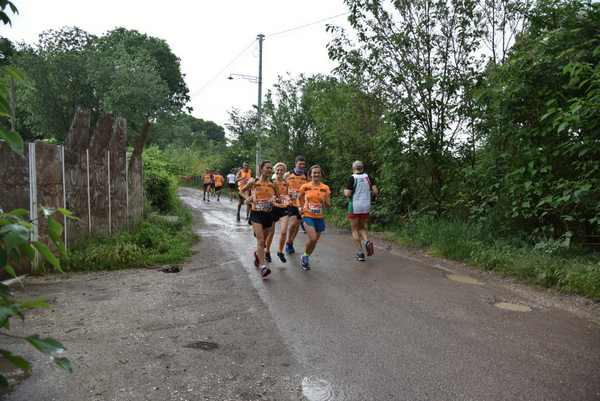 Maratonina di Villa Adriana [TOP] [C.C.R.]  (19/05/2019) 00022