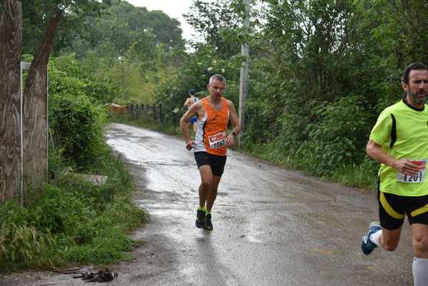 Maratonina di Villa Adriana [TOP] [C.C.R.]  (19/05/2019) 00034