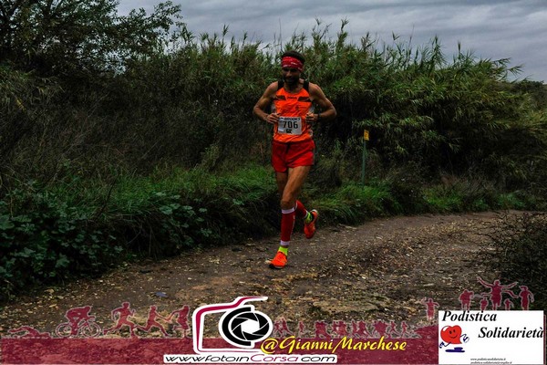 Maratonina di S.Alberto Magno [TOP] (16/11/2019) 00015