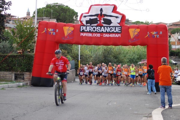 Corsa del S.S. Salvatore - Trofeo Fabrizio Irilli  [C.C.R.] (08/09/2019) 00009