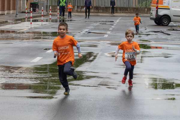 Joint Run - In corsa per la Lega Italiana del Filo d'Oro di Osimo (19/05/2019) 00013