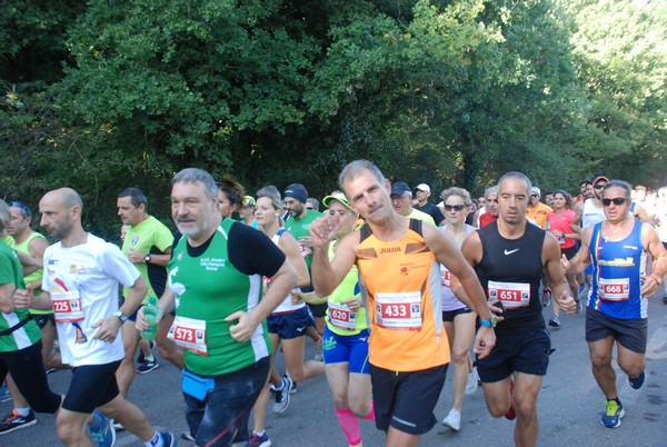 Mezza Maratona del Lago di Vico (13/10/2019) 00018