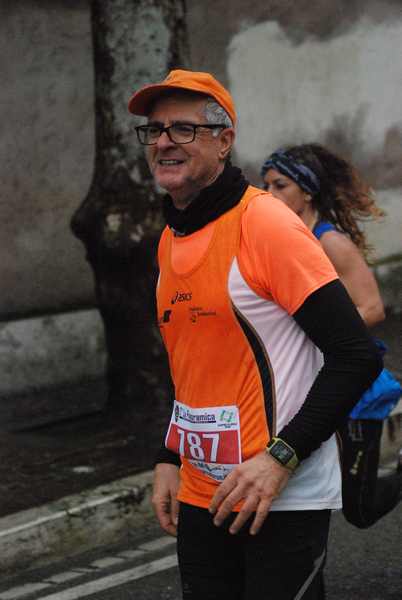 La Panoramica Half Marathon [TOP][C.C.] (03/02/2019) 00026