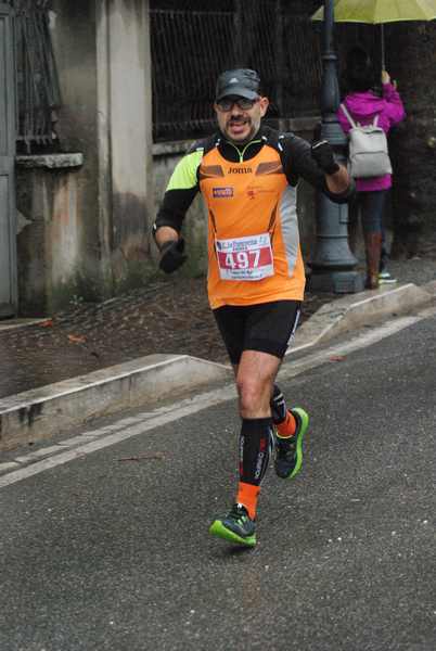 La Panoramica Half Marathon [TOP][C.C.] (03/02/2019) 00080