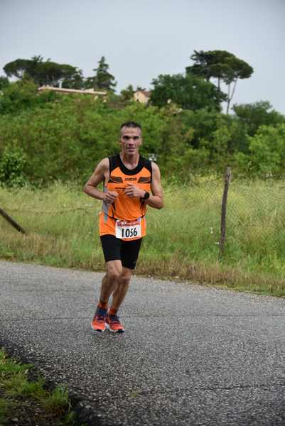 Maratonina di Villa Adriana [TOP] [C.C.R.]  (19/05/2019) 00084