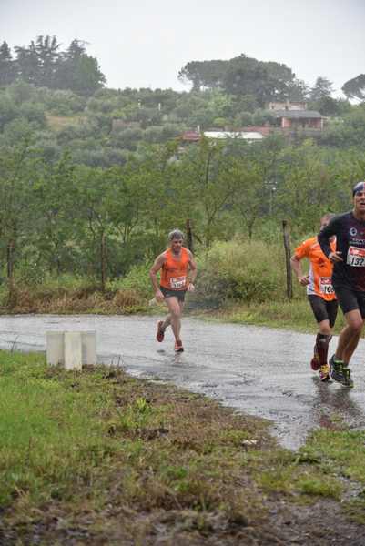 Maratonina di Villa Adriana [TOP] [C.C.R.]  (19/05/2019) 00195