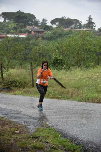 Maratonina di Villa Adriana [TOP] [C.C.R.]  (19/05/2019) 00232