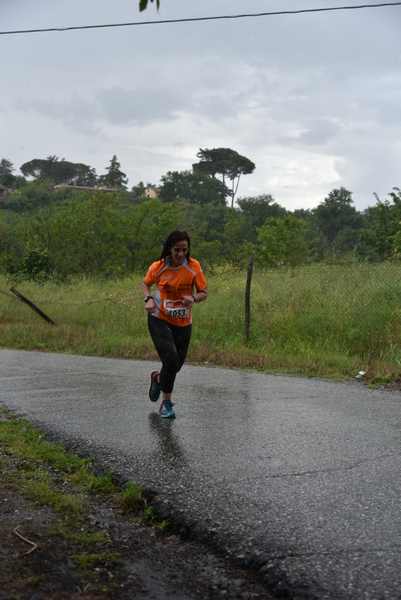Maratonina di Villa Adriana [TOP] [C.C.R.]  (19/05/2019) 00238