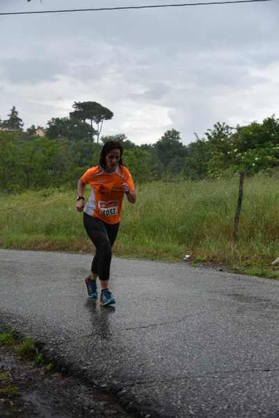 Maratonina di Villa Adriana [TOP] [C.C.R.]  (19/05/2019) 00240