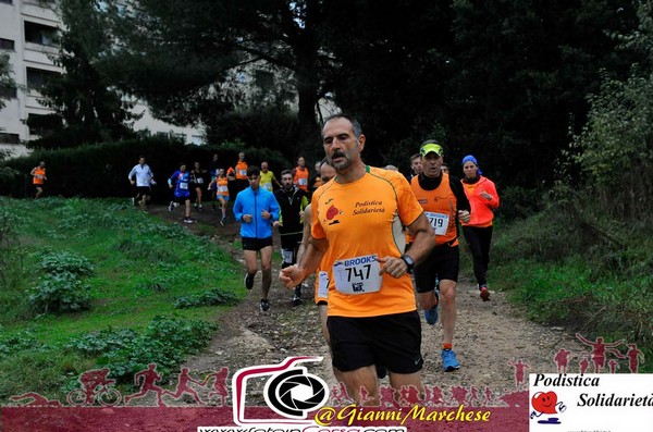 Maratonina di S.Alberto Magno [TOP] (16/11/2019) 00015
