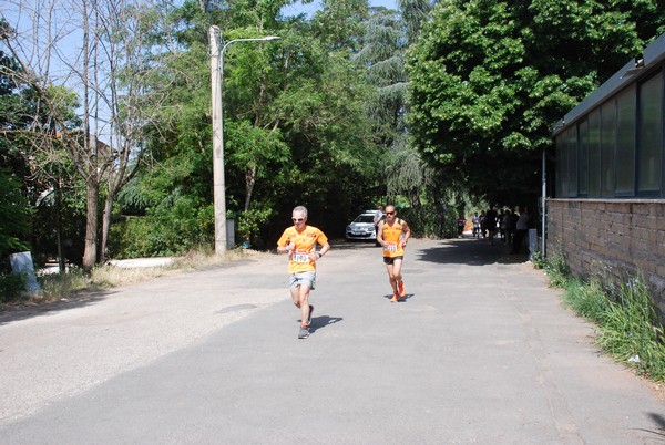 Maratonina di Villa Adriana [TOP] (29/05/2022) 0001