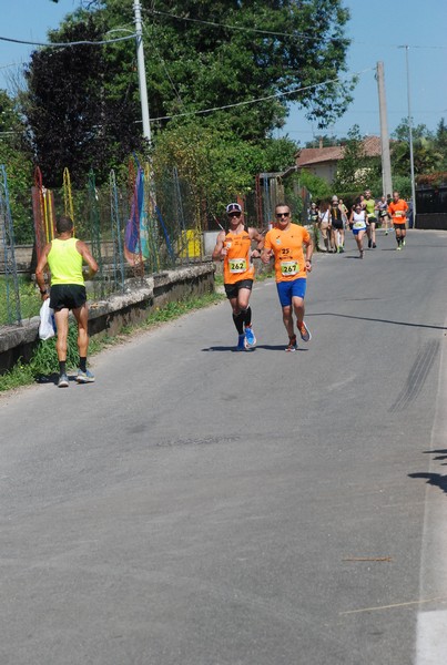 Maratonina della Lumaca [TOP] [CE] (25/06/2023) 0036