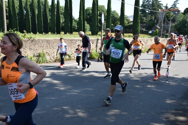 Maratonina di Villa Adriana [TOP] (28/05/2023) 0026