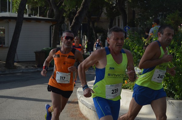 Half Marathon del Piceno Fermano (17/09/2023) 0008