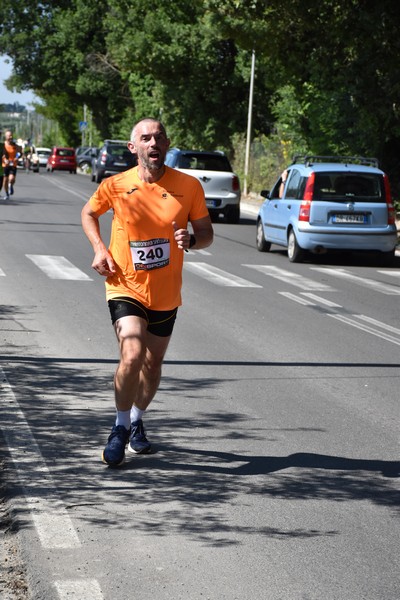 Maratonina di San Luigi (11/06/2023) 0025