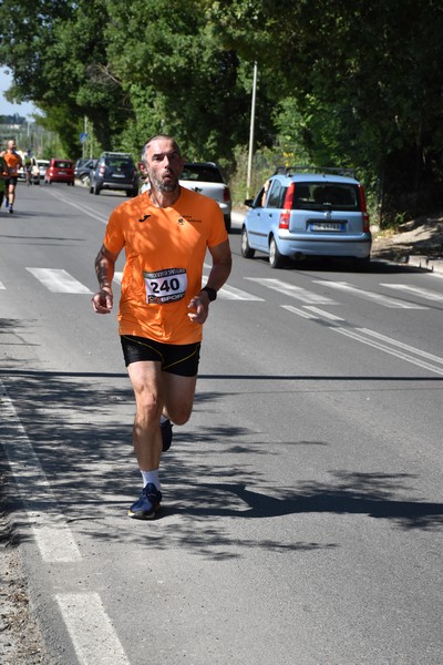 Maratonina di San Luigi (11/06/2023) 0026