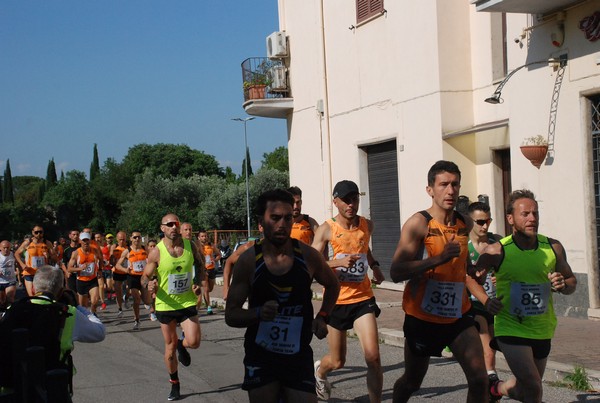Maratonina di Villa Adriana [TOP] (28/05/2023) 0004