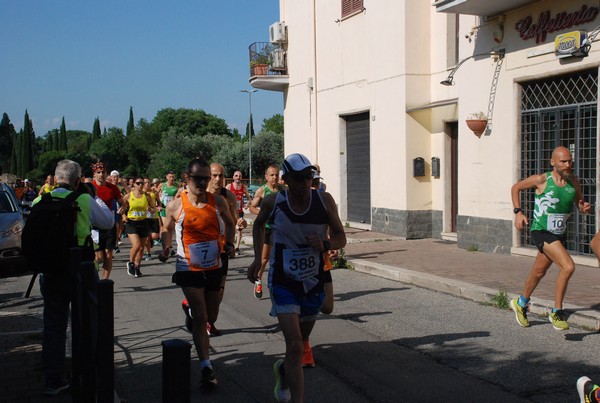 Maratonina di Villa Adriana [TOP] (28/05/2023) 0015