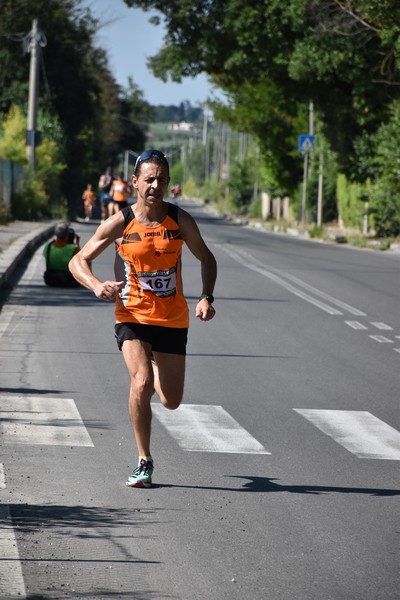 Maratonina di San Luigi (11/06/2023) 0037