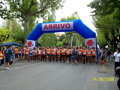tagliacozzoc_1198