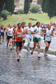 race_4113
