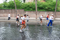 race_4227