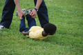 race_3840
