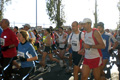cimg1652