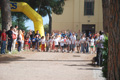 solmansirace_5829