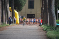 solmansirace_5895