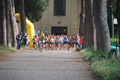 solmansirace_5896